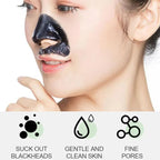 Charcoal Blackhead Mask for Deep Pore Cleansing & Acne